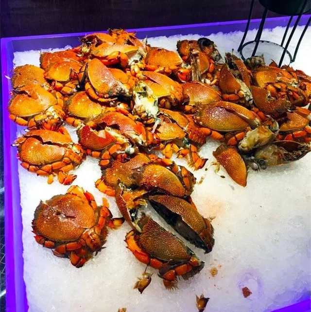 长春市南关区带温泉的洗浴中心,长春市温泉自助餐都有哪些