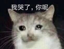 香港万宁双飞人活络油,香港活络油和双飞人多少钱一瓶