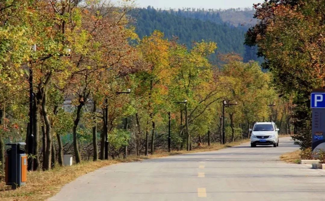 徐州秋景哪个地方最好看,徐州周边赏秋景的地方