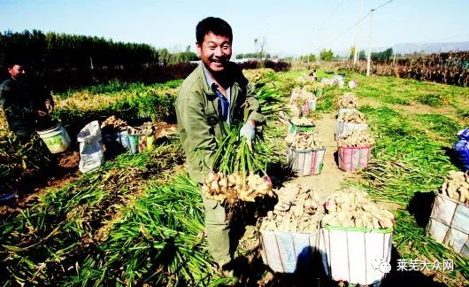 “三块地”就让这个村一夜暴富？