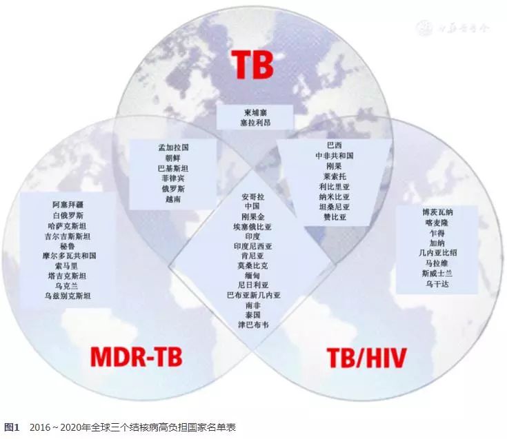 世界卫生组织结核病治愈情况,世界卫生组织2023结核病策略