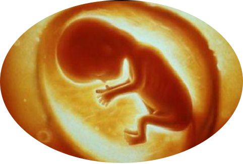 孕妇怎么避免感染风疹病毒,孕期感染风疹病毒宝宝还能要吗