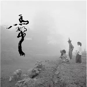 双十一特惠黑胶,双十一特惠音乐