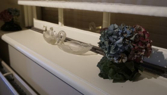 寻访波希之足迹