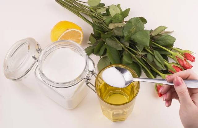 过期的药片丢花盆里花长疯了,这几种过期药片别扔掉放到花盆里