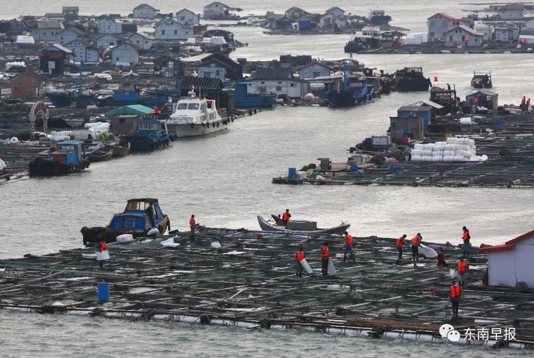 泉港碳九泄漏,泉港泄漏碳九