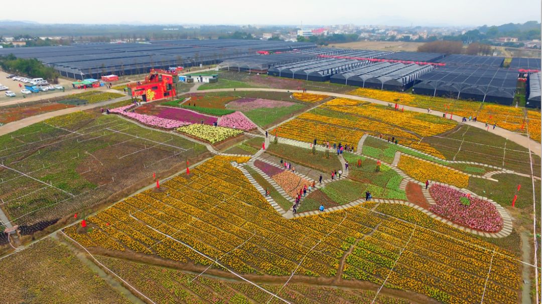 斗门为什么叫斗门,外地人眼中的斗门