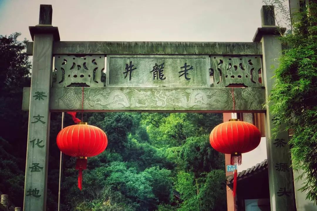 龙井茶每日一茶,龙井茶一天中最佳饮茶时间