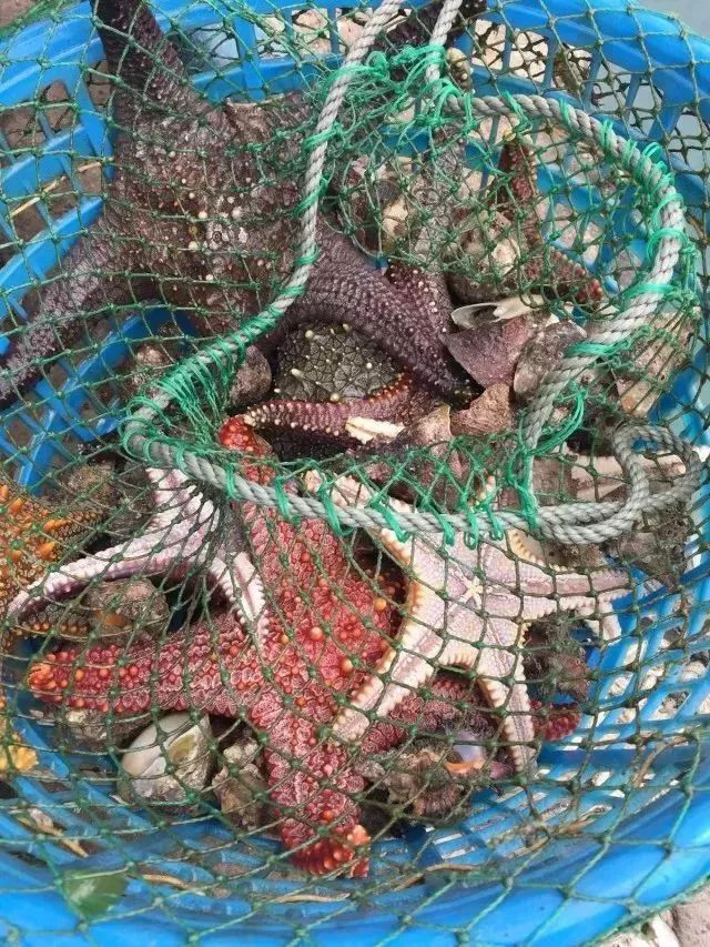 深圳网红景点马尔代夫,深圳马尔代夫沙滩附近游玩