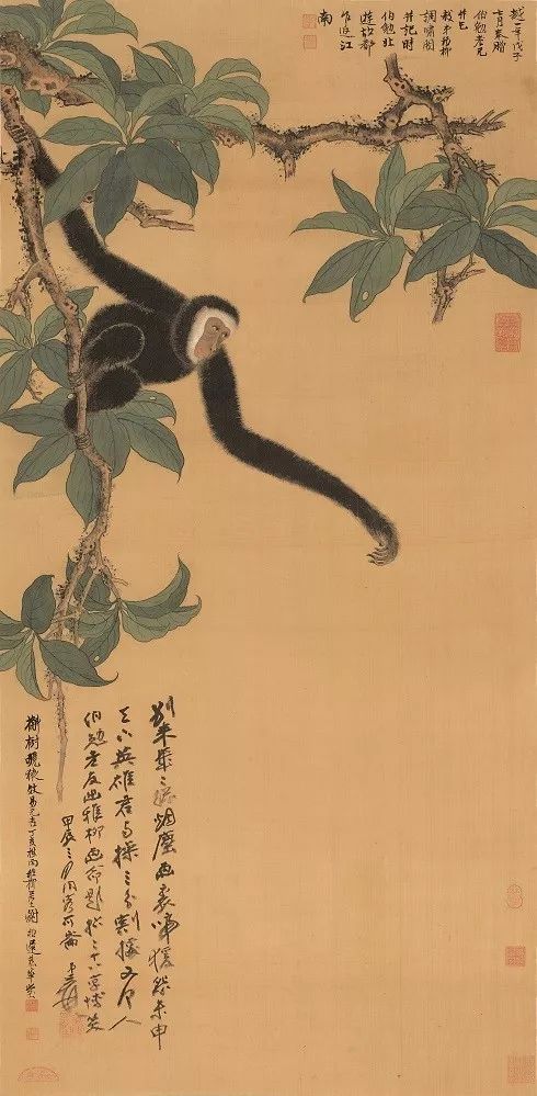 被误读的李白,被误读的古诗句