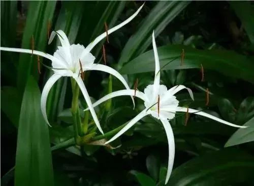 珠海海滨公园值得去吗,珠海旅游攻略海滨公园路线