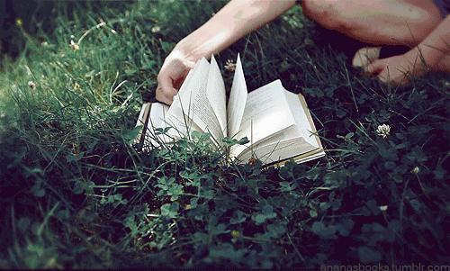 收藏的藏笔顺,收藏的藏笔画顺序