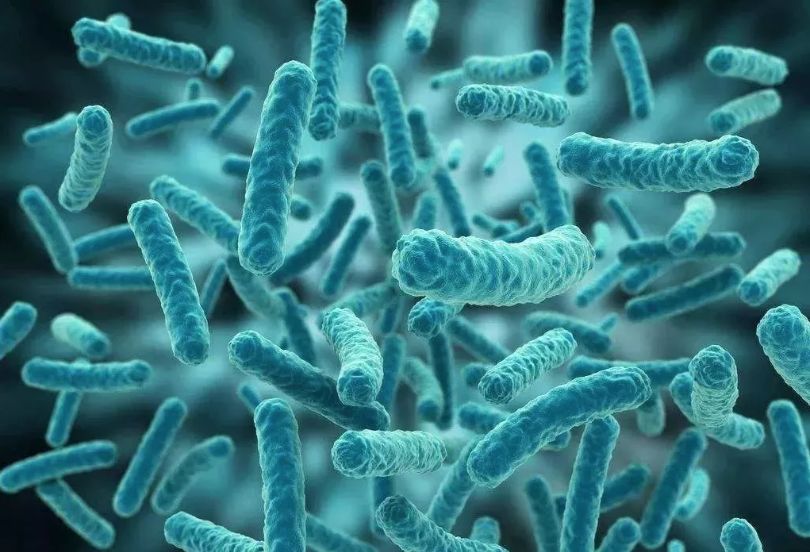 这是一双乳胶棉拖，跳跃在云端之巅的曼妙，穿上3秒就暖脚！