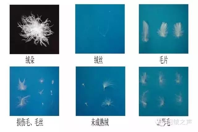 羽绒被防跑绒怎么解决,羽绒被怎么区分多绒跟碎绒