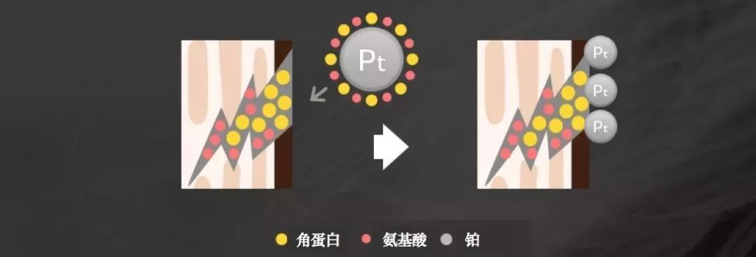 网红洗发水推荐去屑氨基酸,网红爆款洗发水控油清爽持久留香