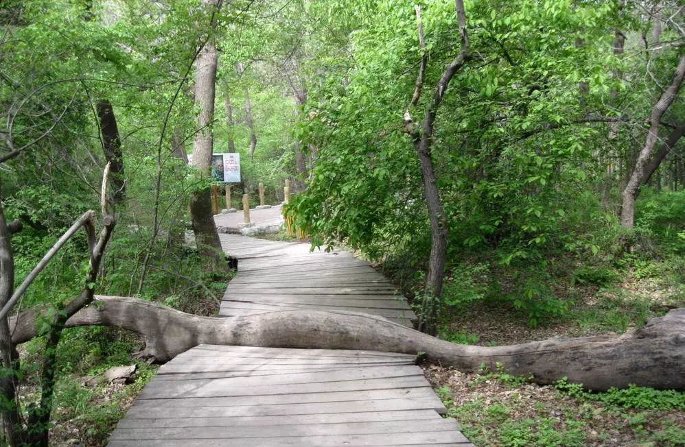 改革印记全文图片,通辽的旅游发展现状