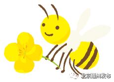 美得不像话！通州玉兰花开早腊梅绽放报春来