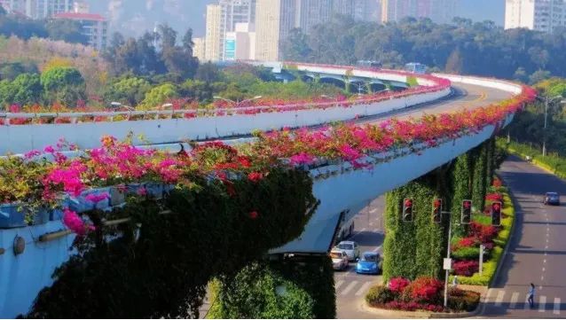 厦门人民公园最美风景照片,厦门集美杏林马銮湾环湾带状公园