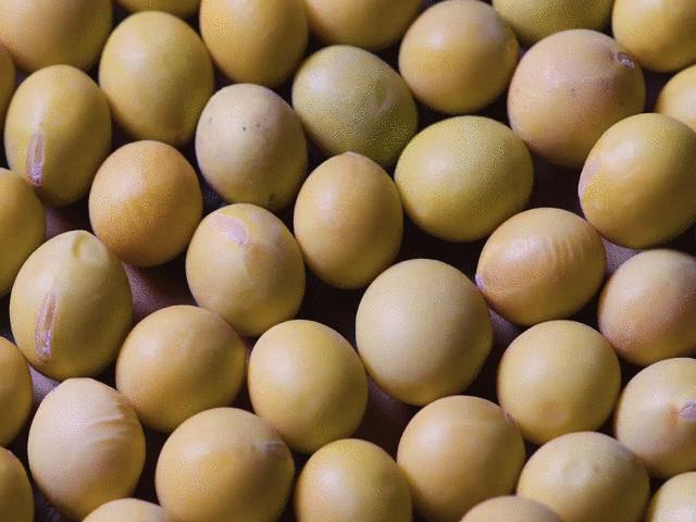 一条特惠｜无线充电保温杯，日本滨田古法酱油