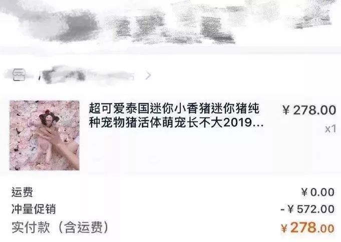 那一夜他喝多了，下单了一只小香猪、一只母孔雀、一条娃娃鱼，醒来后……