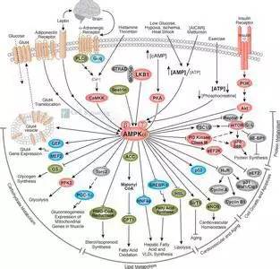2022年医学生考研难度排名,医学生对口升学语数英的难度