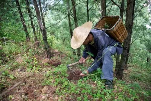 农村将消失的4种行当,农村正在消失的老物种