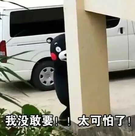 香港双飞人黄道益多少钱一瓶,黄道益双飞人药水香港