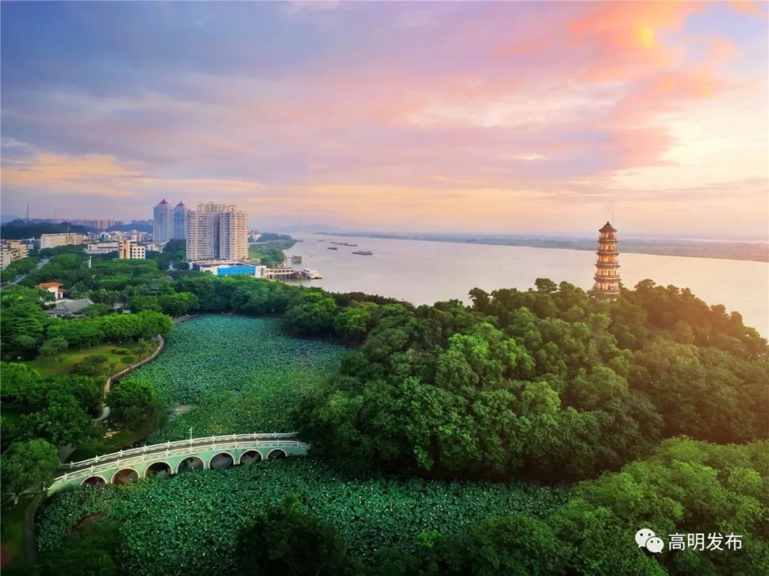 学霸村7年出3位状元,高明走出来的学霸