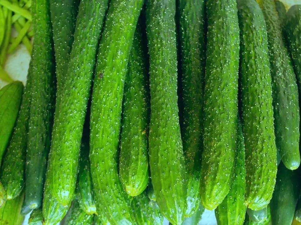 成都最新批发市场,成都最大的小商品批发市场在哪里