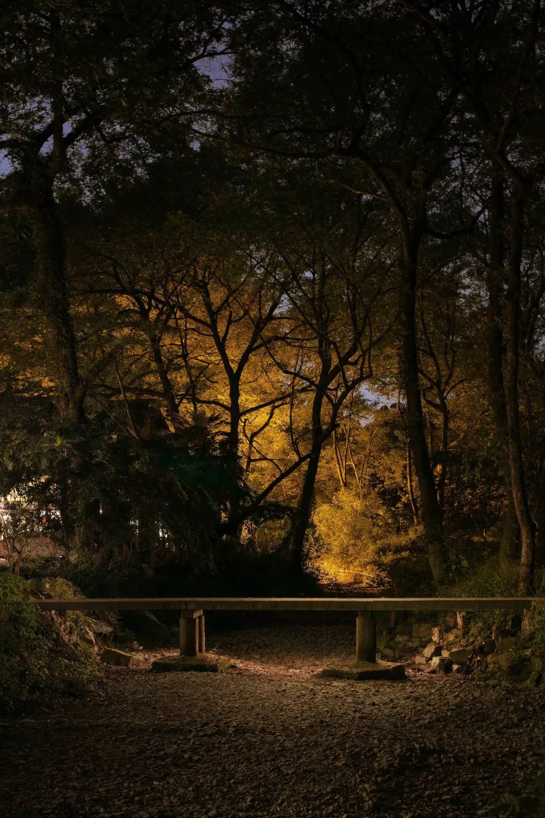 自称“射鸡师”！这个“不太正经”的设计师把酒店开了半个中国，今年终于到杭州了！