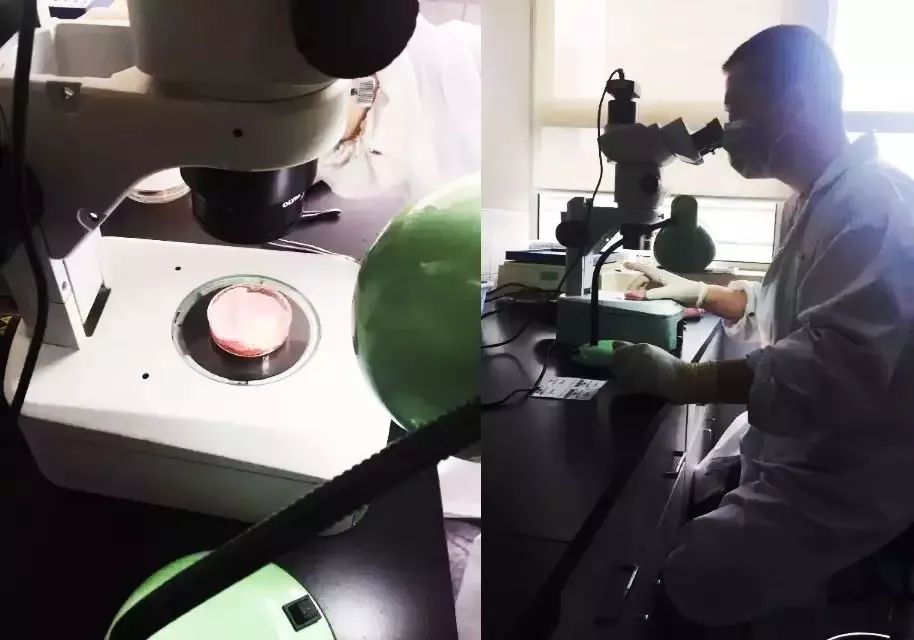 肉眼可见的除螨效果，日本爆款除螨贴，24小时不间断，除螨率高达97%