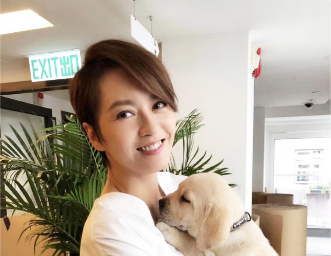 任达华和导盲犬的电影叫什么名字,导盲犬小q任达华为什么没有回来