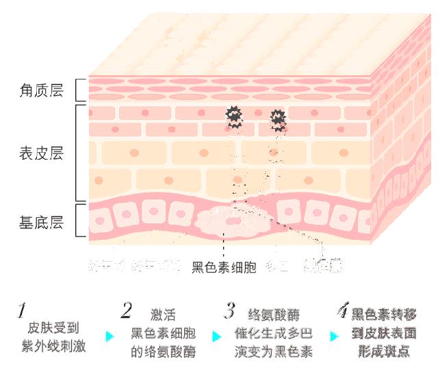 「健康」80后干部两鬓斑白上热搜！怎么防止头发变秃变白？