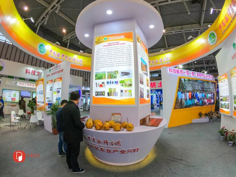 「文明旅游」未来农业应该是啥样？｜快来看全国新农民新技术创业创新博览会