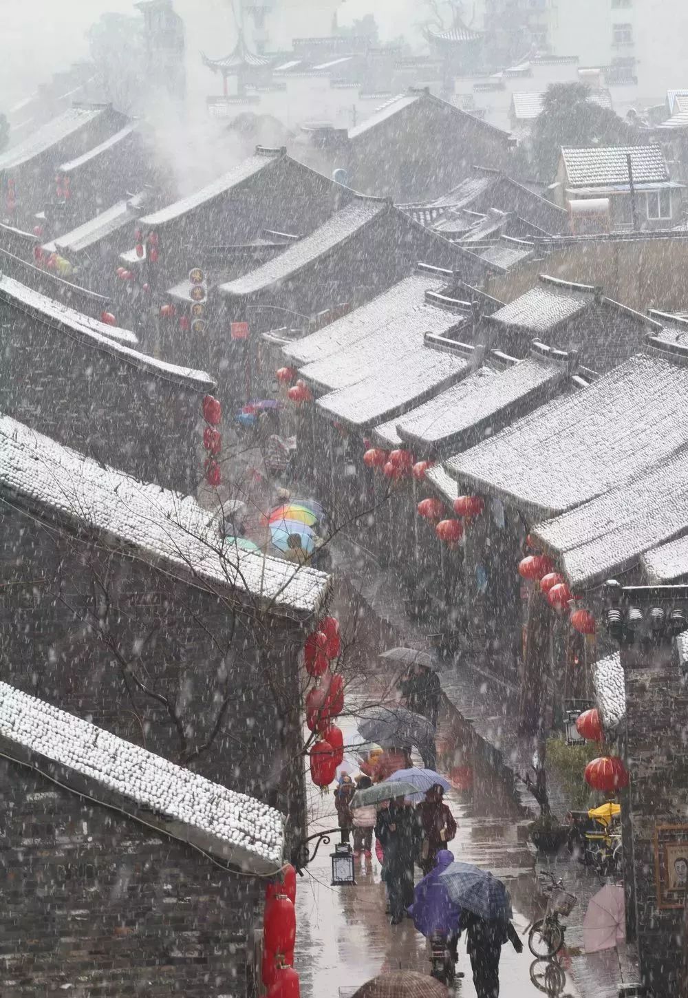 冬天的扬州有多美,扬州的冬天真美呀