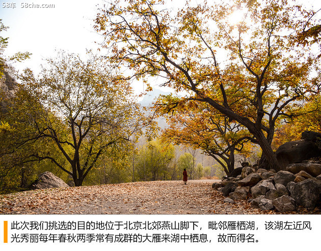 别克凯越油耗显示准确吗,2011款别克凯越油耗显示在哪里