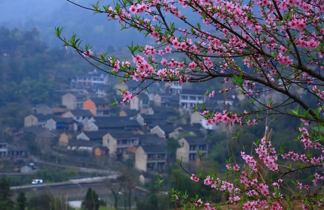 奉化市新城区有前景吗,奉化三年大变样