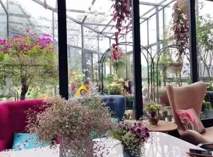 成都可以带娃钓鱼烧烤的农家乐,推荐好的农家乐成都