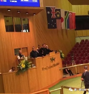 「买马」莱德旗下赛驹拍出高价，中国马主团豪砸重金购入佳驷，新西兰卡拉卡两岁受训马拍卖会隆重开槌