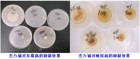 鍐滅敤楂樼鍔╁墏,缇庡浗杩堝浘鏉板姏璇氶珮鏁堟鐗╂补鍔╁墏