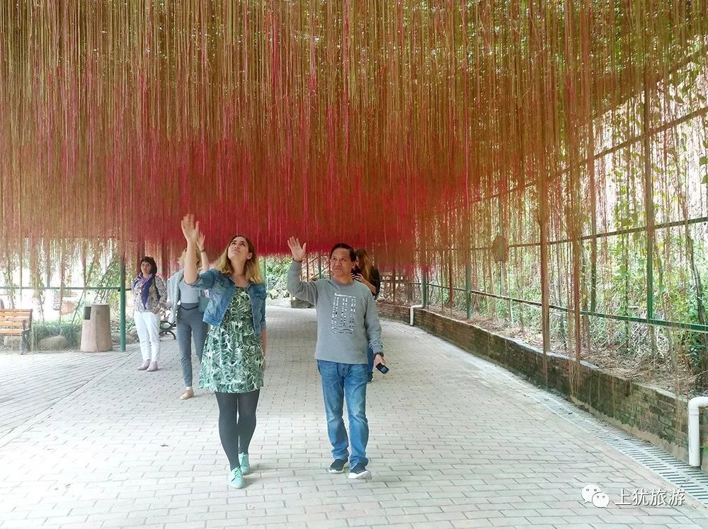 真是太好玩了！俄罗斯国际友人在上犹