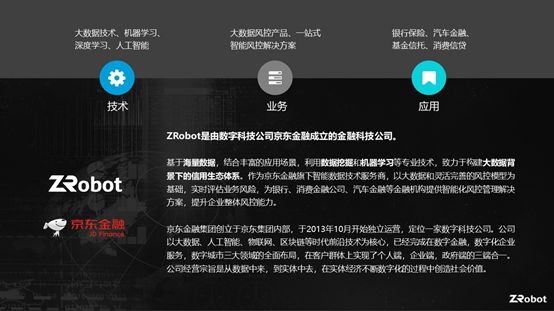 乔杨：如何有效防范欺诈风险？丨金融家理事会