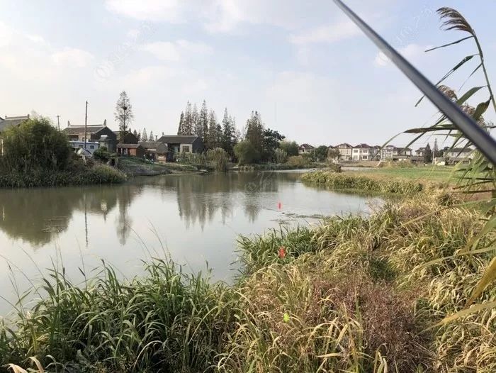 冬季长竿短线怎么选位,野钓长竿短线技巧和方法