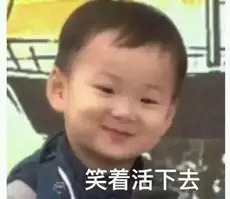 车辆进入限行区域怎么办手续,车辆限行法规