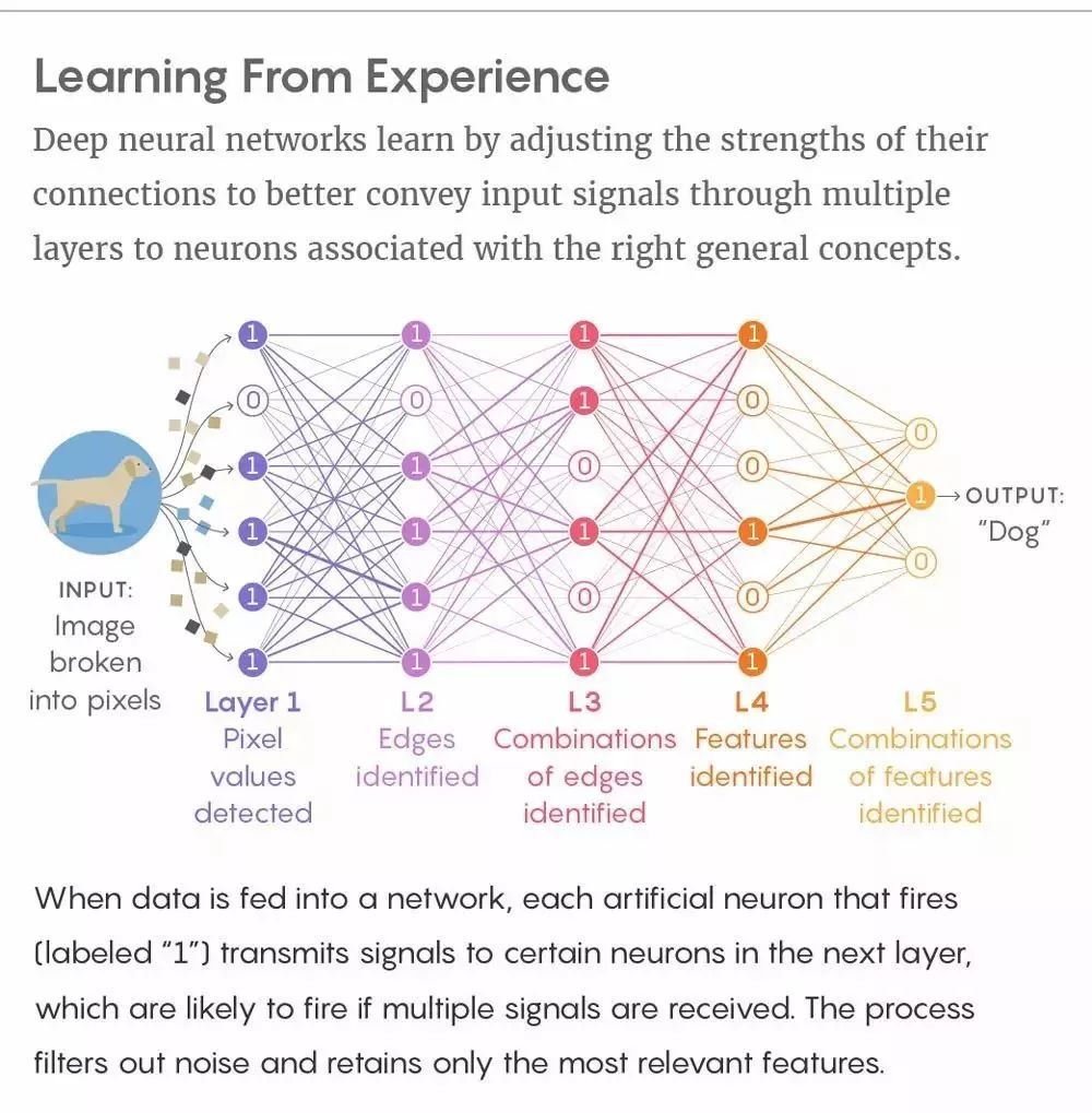 学习中最重要的是遗忘？新理论将揭秘机器学习神秘面纱