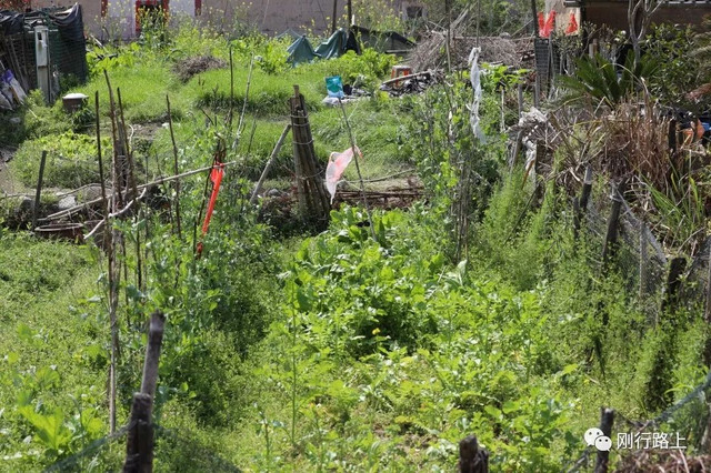 去福建土楼要先去哪个景区游玩,福建土楼永定土楼值得去吗