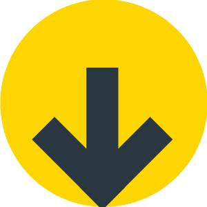 美得不像话！通州玉兰花开早腊梅绽放报春来