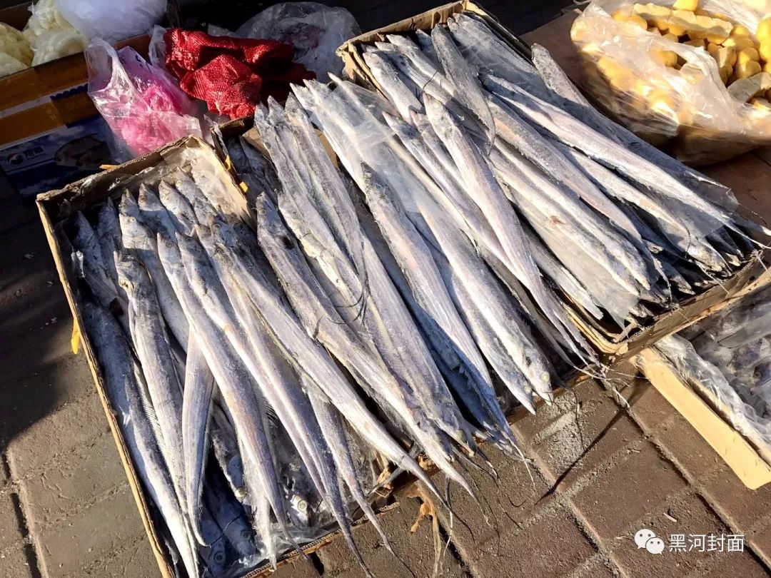 黑河低温冷库,东北最冷黑河早市冻货