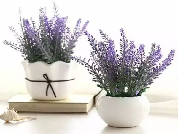 家中总有人生病摆放什么镇宅,家人生病家里摆什么物件