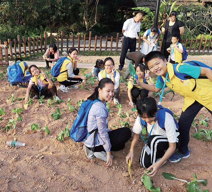 「学通社」350岁的客家小镇，处处有故事｜小记者走进甘坑